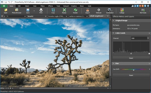 NCH PhotoPad Image Editor 11.76 download the new version for mac