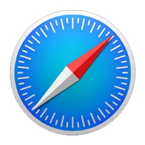 Most Common Safari Problems And How To Fix Them